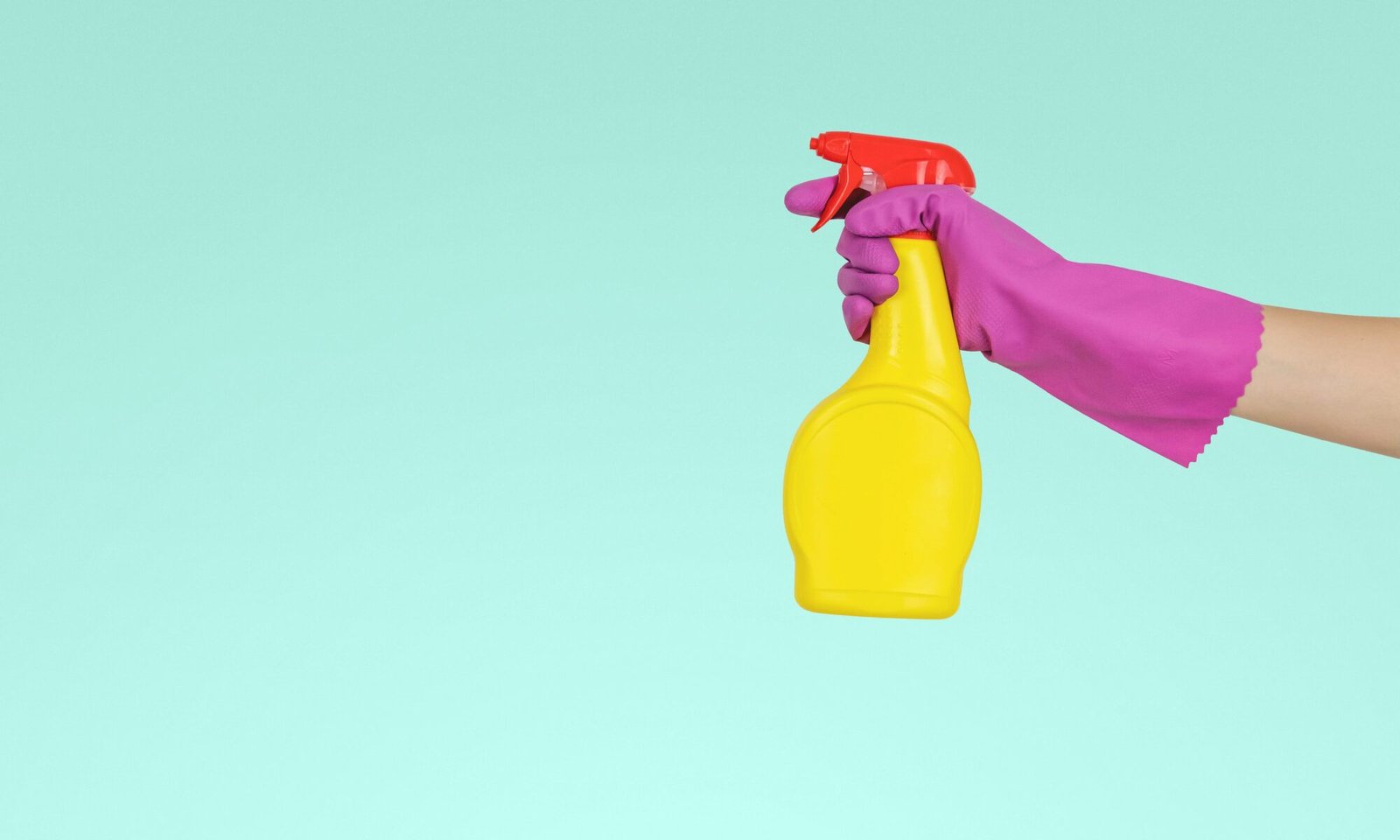 Professional Cleaning